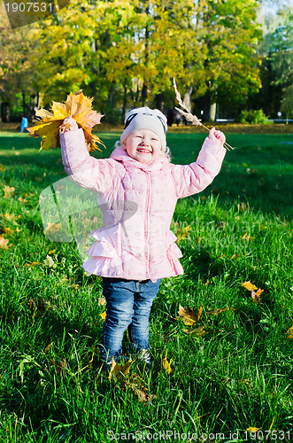 Image of The little girl collects fallen down leaves in autumn park