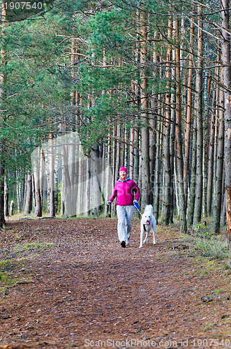 Image of The woman with a dog run in a forest park