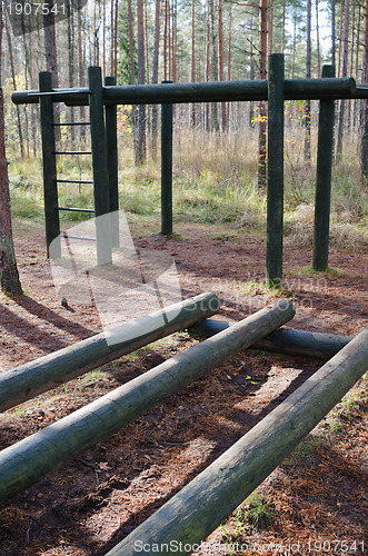 Image of Exercise equipment  of logs  in a forest park