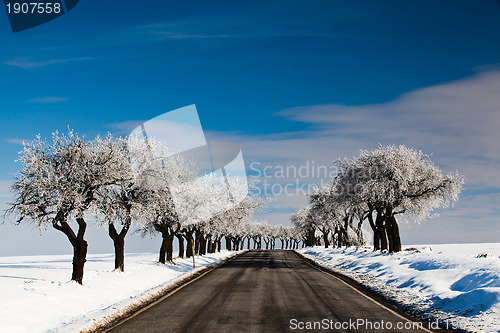Image of Empty road in winter