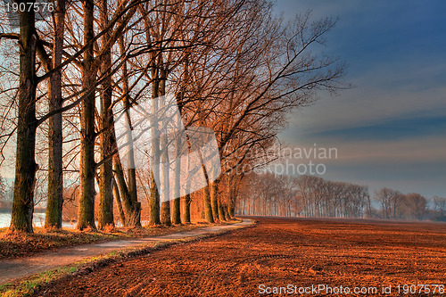 Image of Autumn landscape