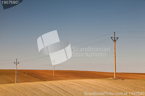 Image of On the empty field