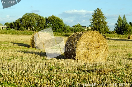 Image of Straw bales field shadow 