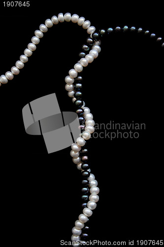 Image of White and black pearls on a black velvet