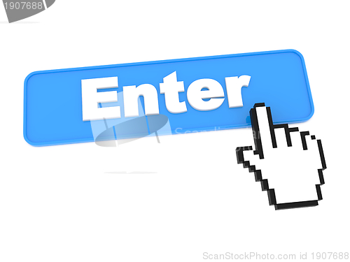 Image of Enter Web Button.