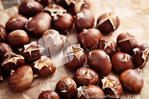 Image of edible chestnuts