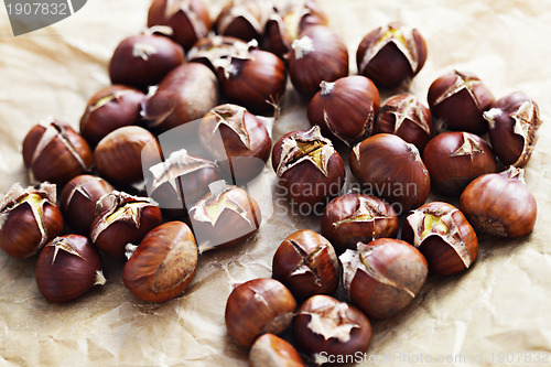 Image of edible chestnuts