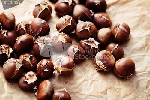 Image of edible chestnuts