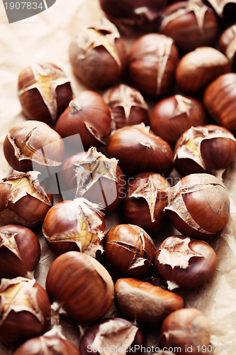 Image of edible chestnuts