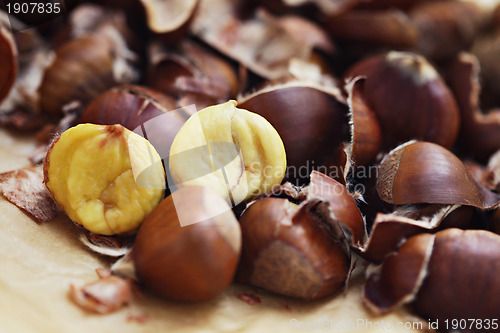 Image of edible chestnuts