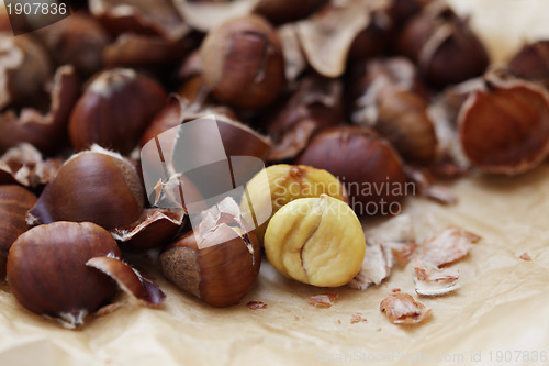 Image of edible chestnuts