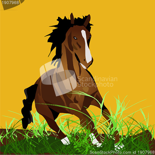 Image of Horse