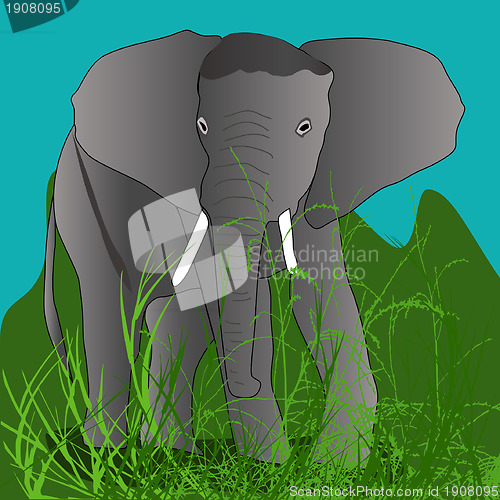 Image of Elephant