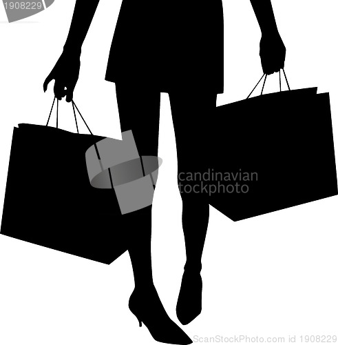 Image of Shopping mania