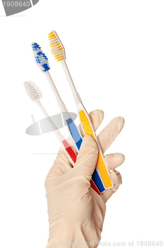 Image of toothbrushes