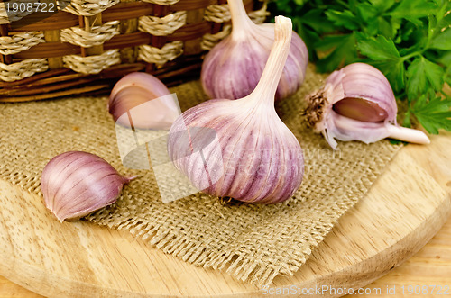 Image of Garlic on sacking with a basket