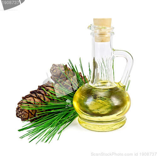 Image of Oil cedar with cones