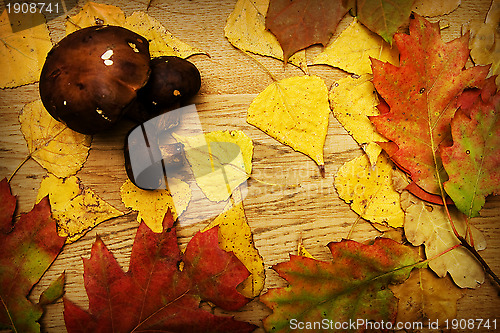 Image of Leaves on a board