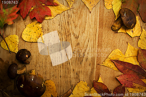 Image of Leaves on a board