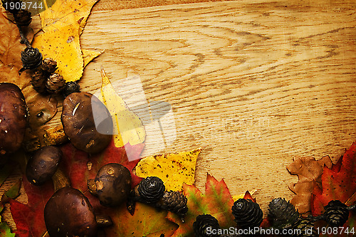 Image of Leaves on a board