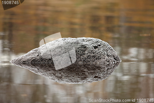 Image of meteorite