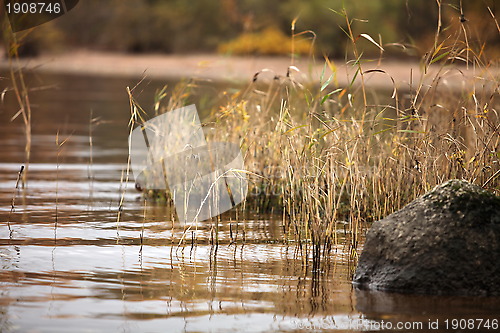 Image of autumn