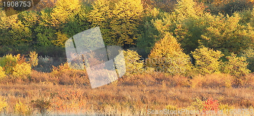 Image of autumn warm colors