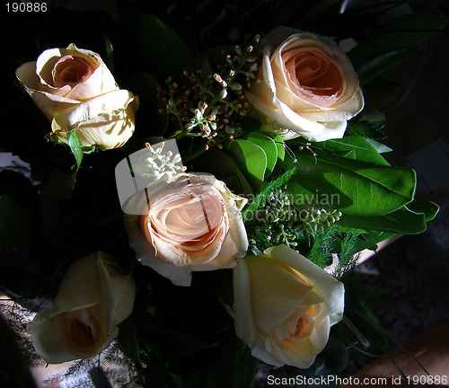 Image of Roses