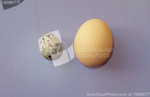 Image of Small and big eggs