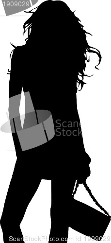 Image of Silhouette of fashion girl
