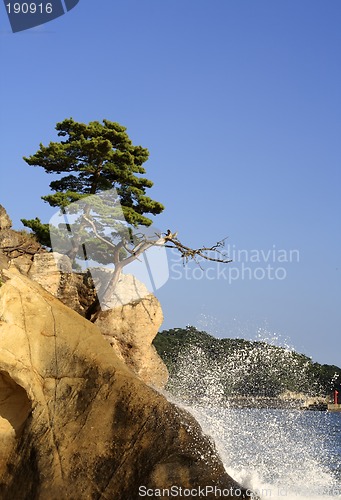 Image of Matsushima