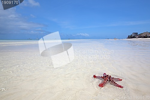 Image of Zanzibar beach
