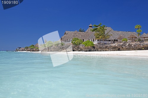 Image of Zanzibar beach