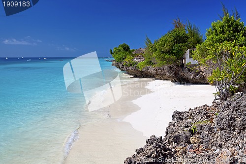 Image of Zanzibar beach