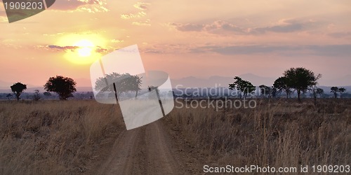 Image of African Savannah