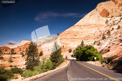 Image of The road in Zion Canyon