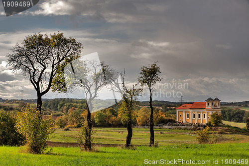 Image of On the pasture 