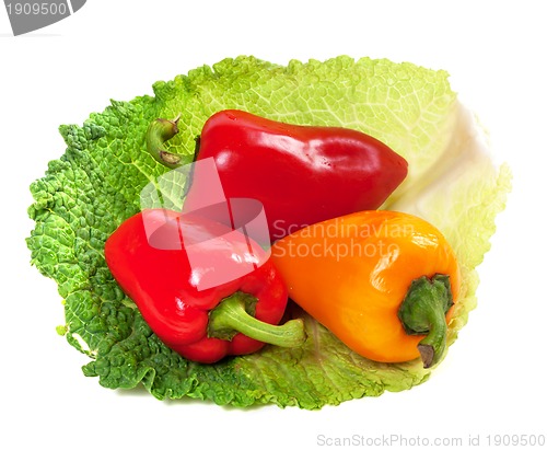 Image of Red and yellow sweet peppers on leaf of savoy cabbage