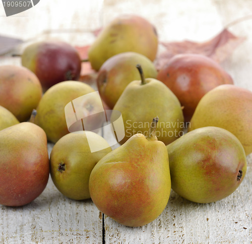 Image of Pears