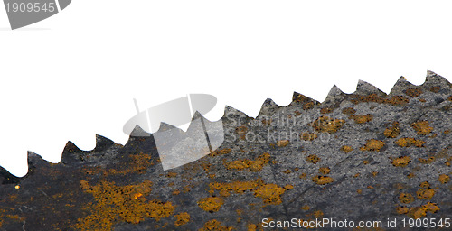 Image of rusty hand saw blade on white 