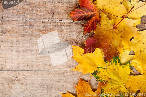 Image of autumn leaves over wooden background