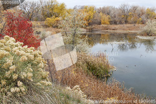 Image of gravel pit into natural area