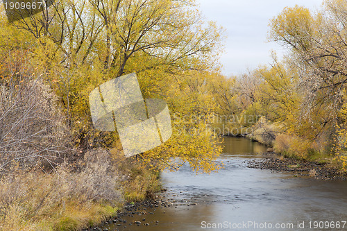 Image of Cache la Poudre River