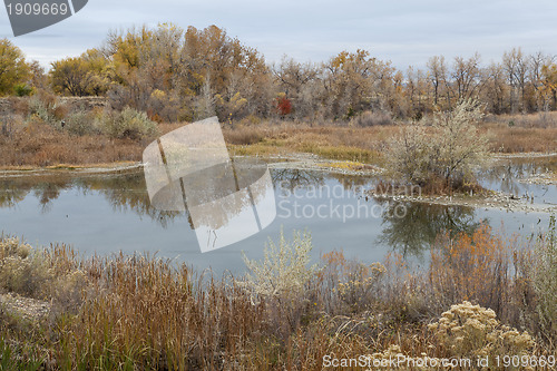 Image of gravel pit into natural area