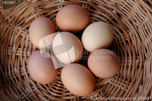 Image of Eggs