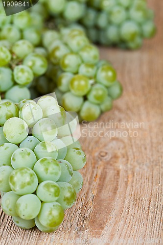 Image of  fresh green grapes 