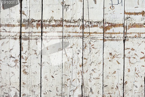 Image of grungy white background of natural wood