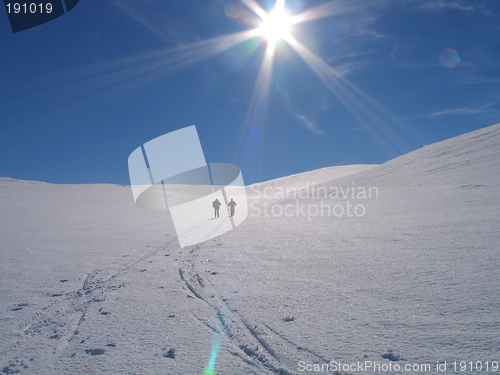 Image of Cross Country Skiing