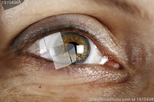 Image of Green eye