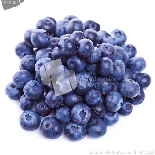 Image of pile of fresh blueberry fruits 